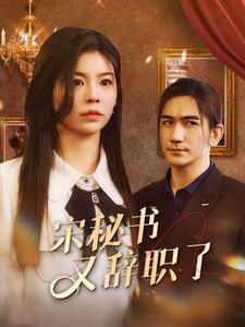 宋秘书又辞职了全集