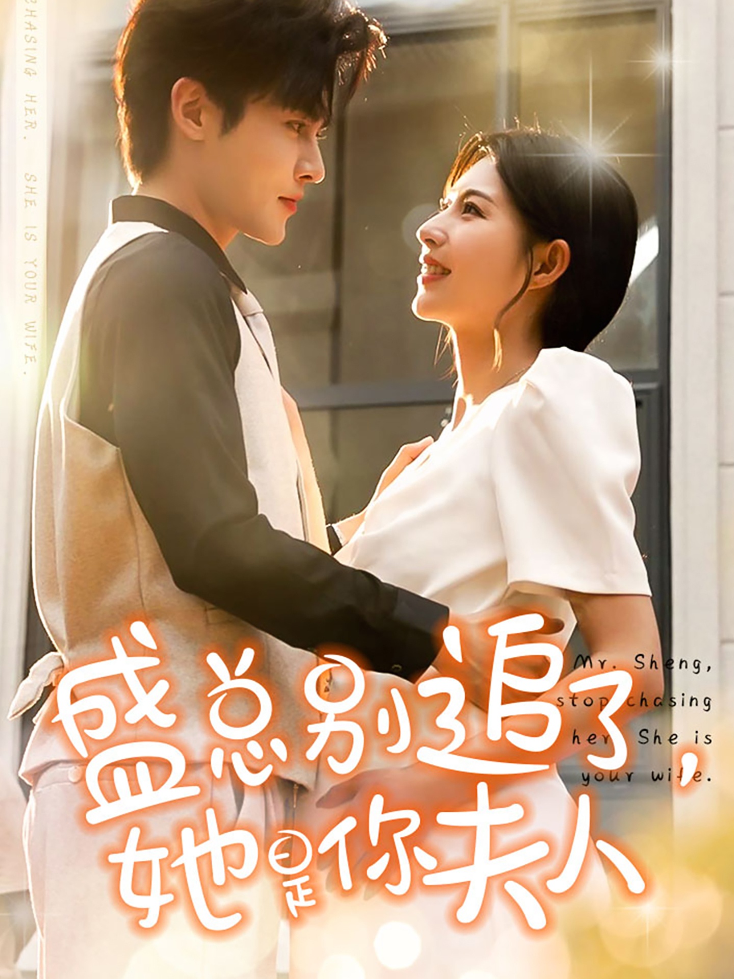 盛总别追了，她是你夫人全集