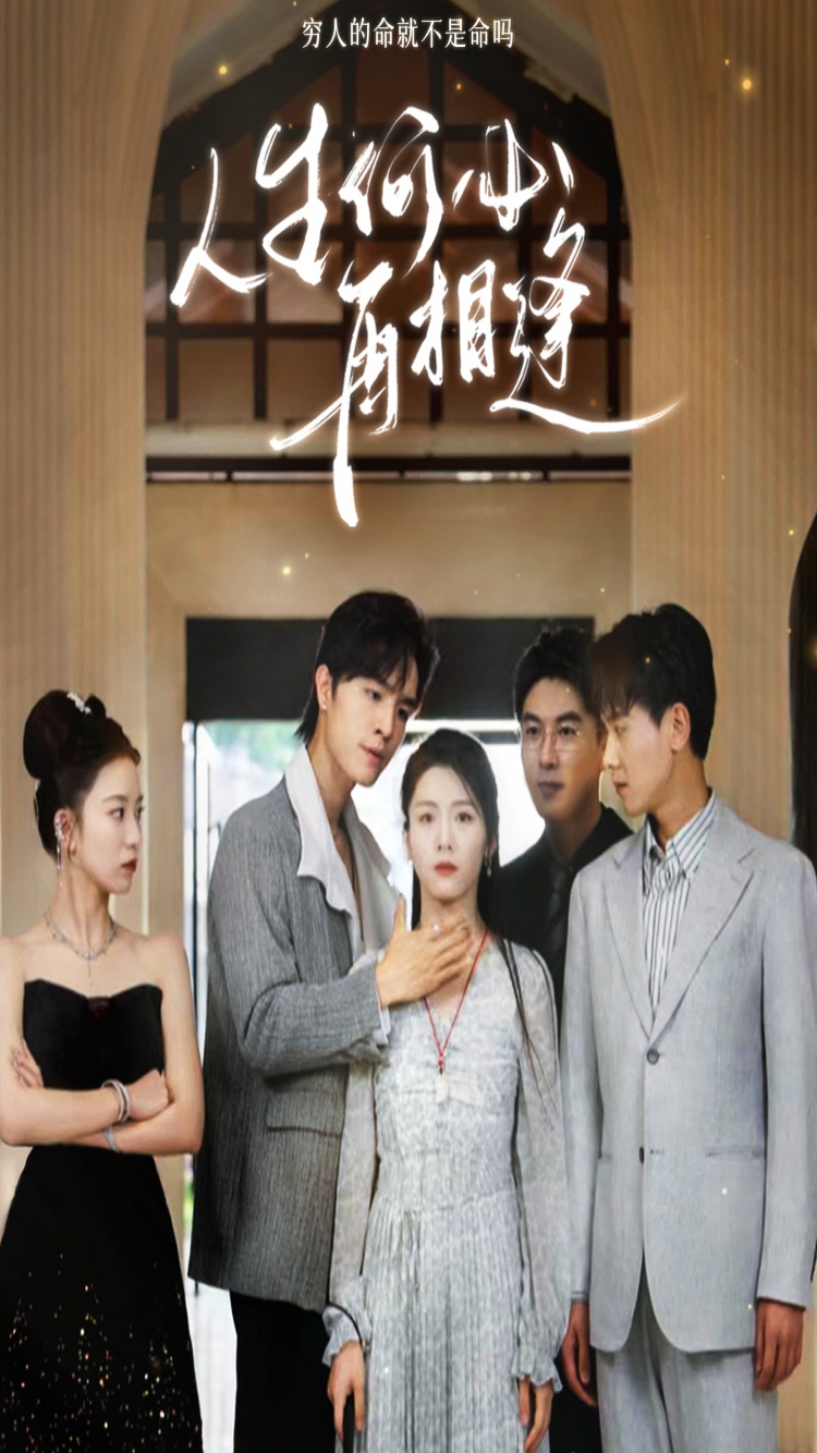 人生何必再相逢全集