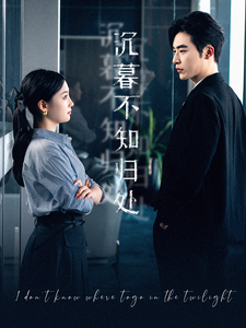 沉暮不知归处全集