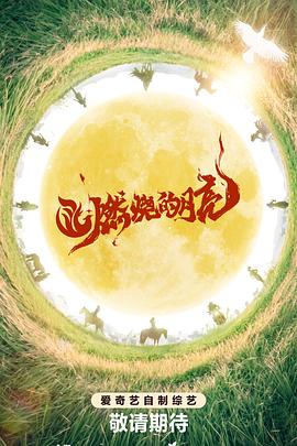 燃烧的月亮全集