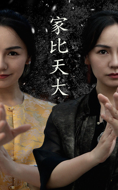 家比天大短剧全集