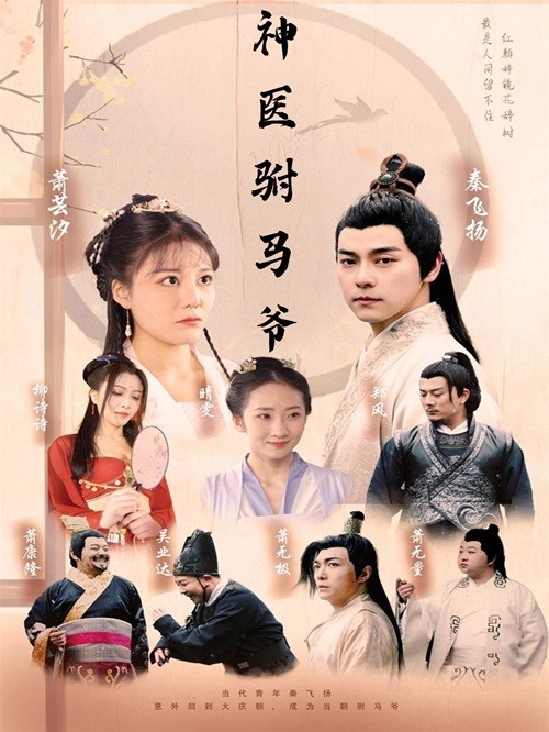 神医驸马爷全集
