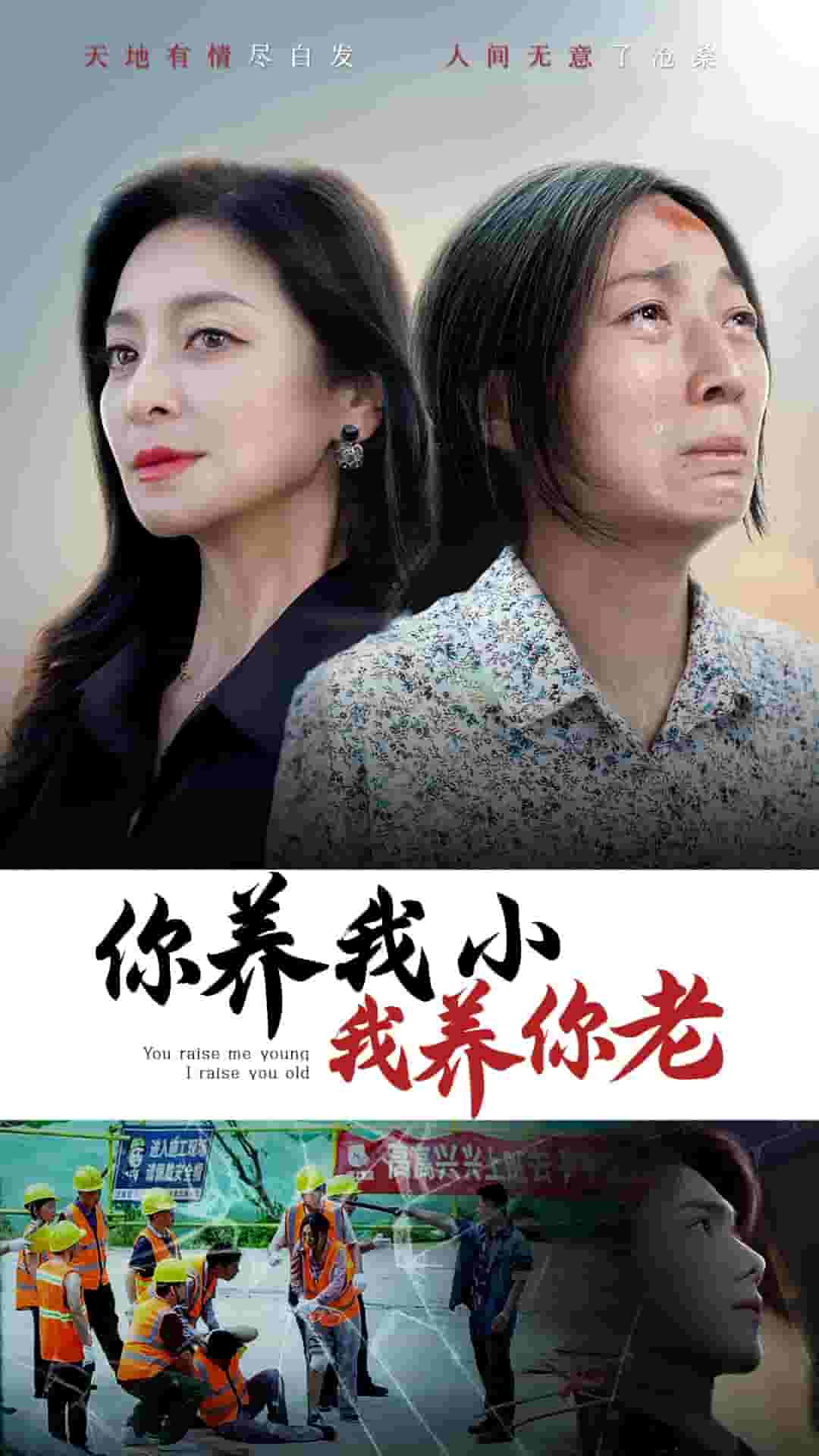 你养我小我养你老全集