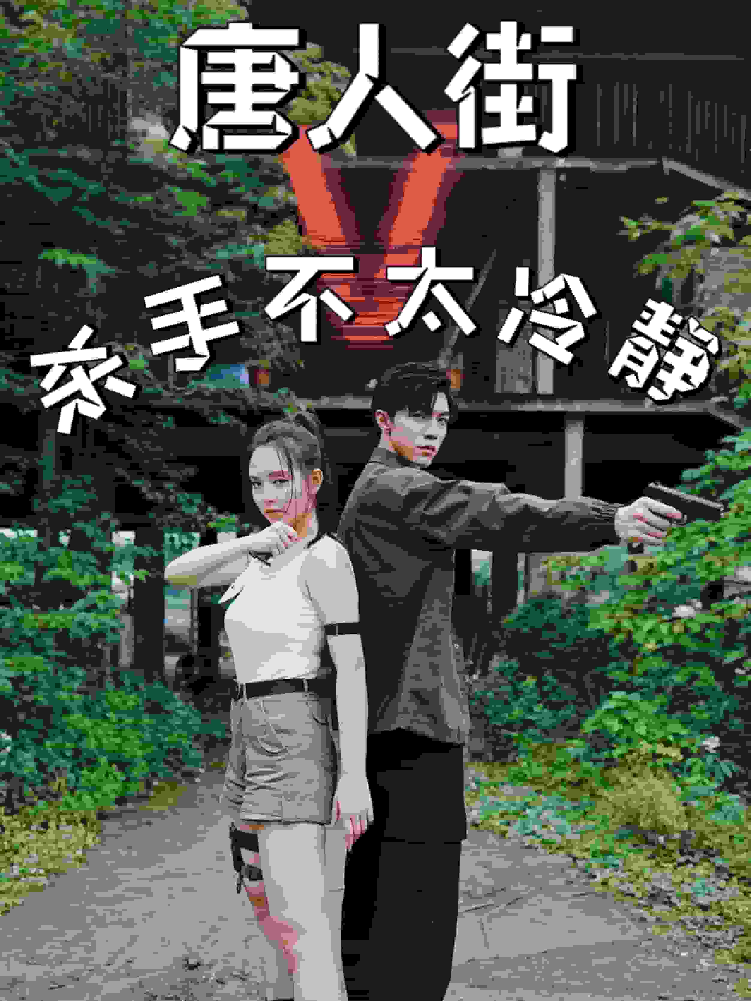 唐人街杀手不太冷静全集