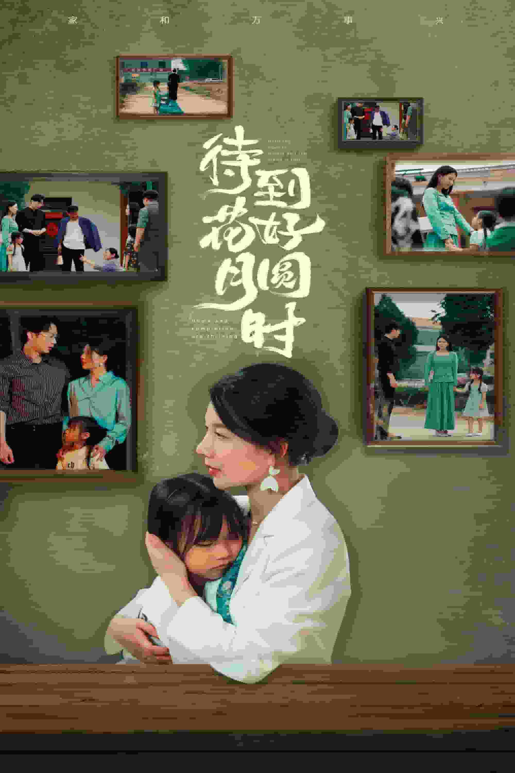 待到花好月圆时全集