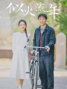 似火流年短剧全集