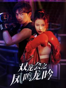 双龙会之凤鸣龙吟全集
