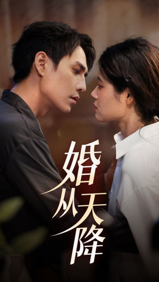 婚从天降全集