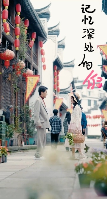 记忆深处的你全集