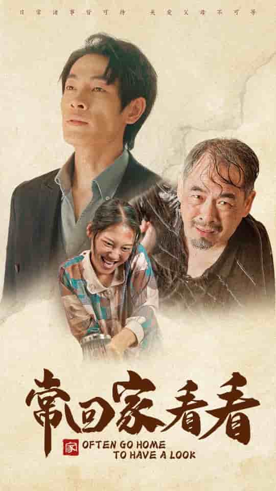 常回家看看短剧全集