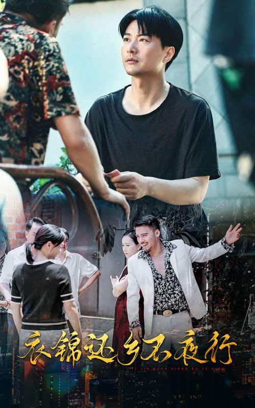 衣锦还乡不夜行全集