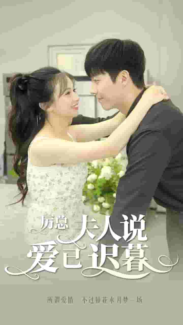 厉总，夫人说爱已迟暮全集