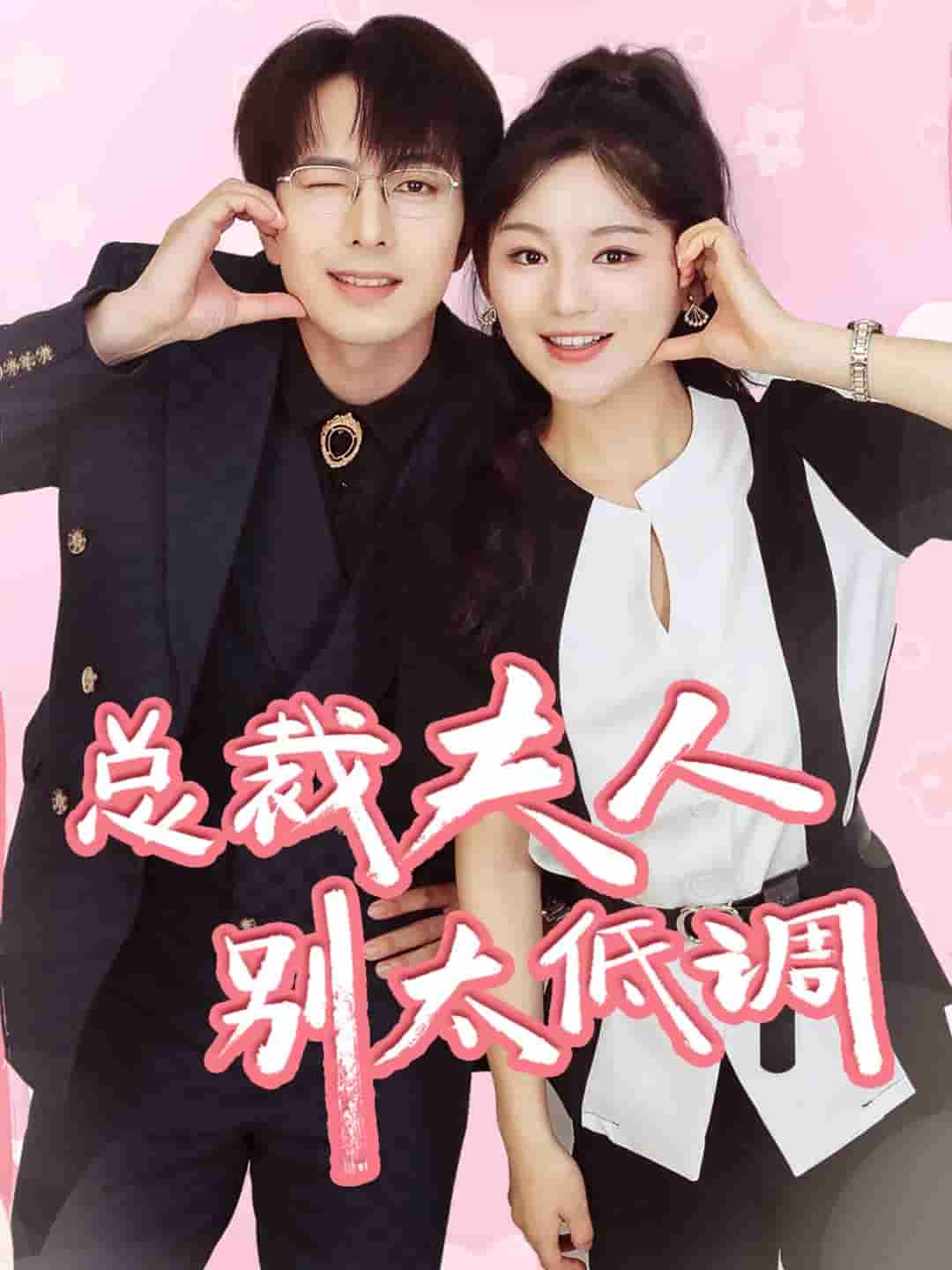 总裁夫人别太低调全集