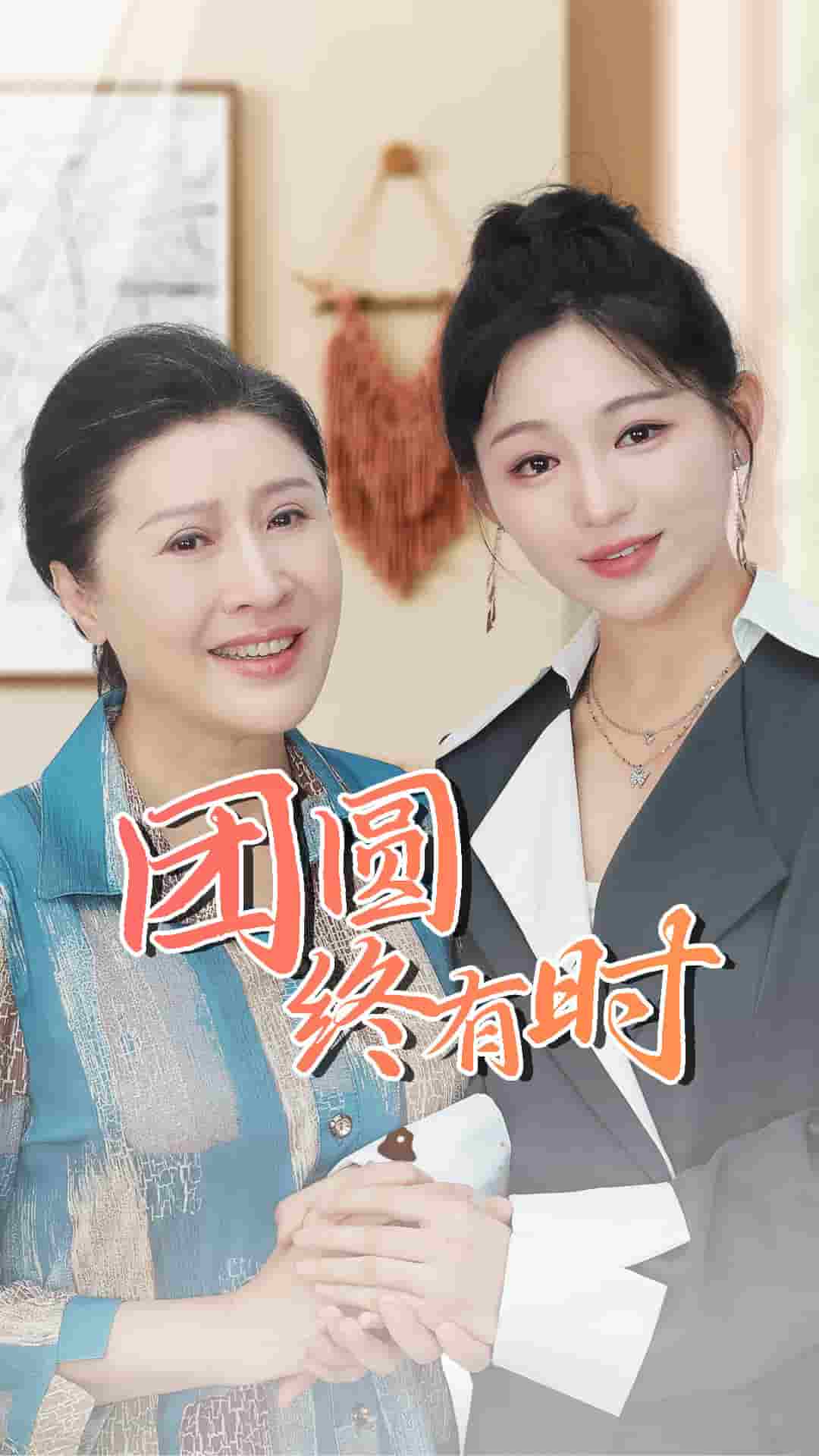 团圆终有时全集