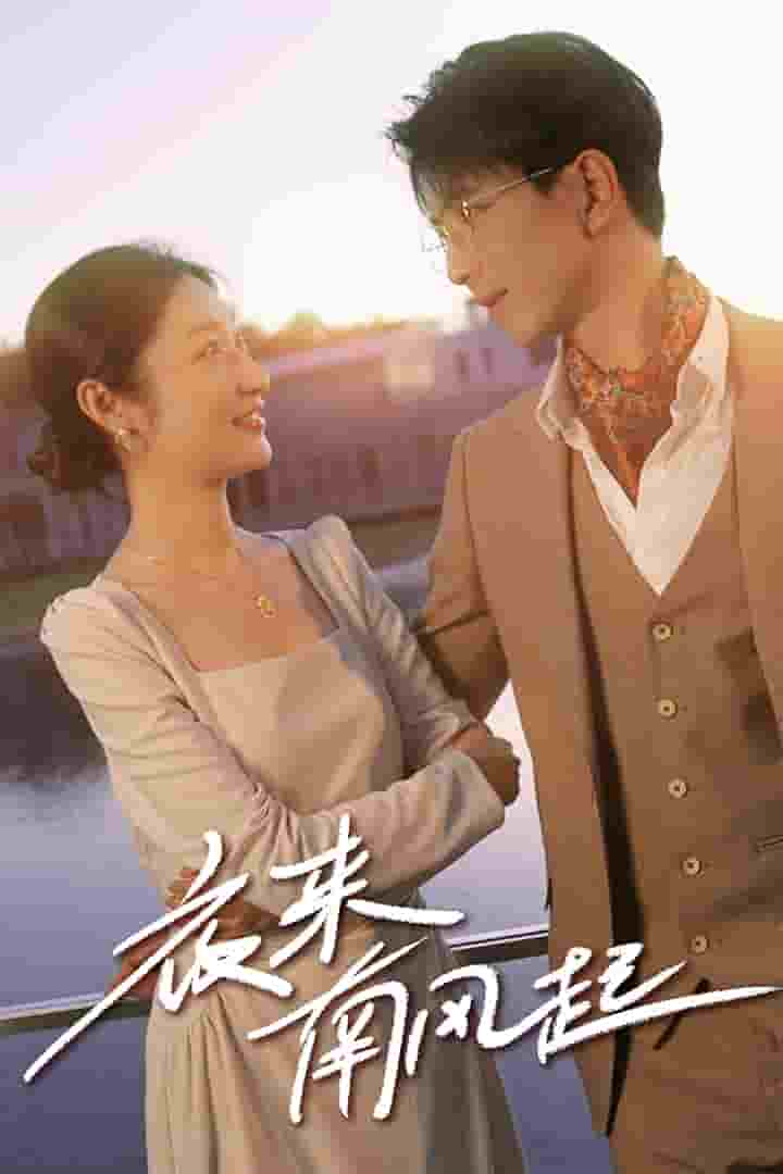 夜来南风起全集