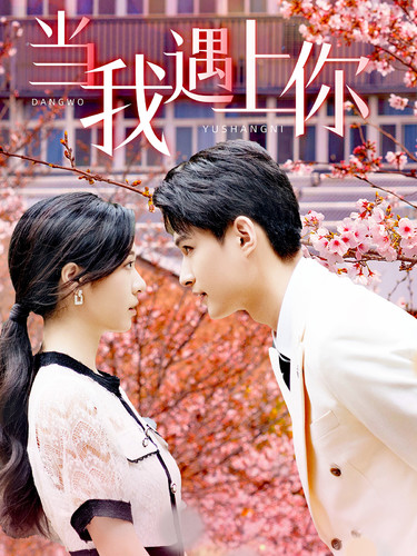 当我遇上你全集