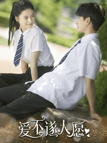 爱不遂人愿全集