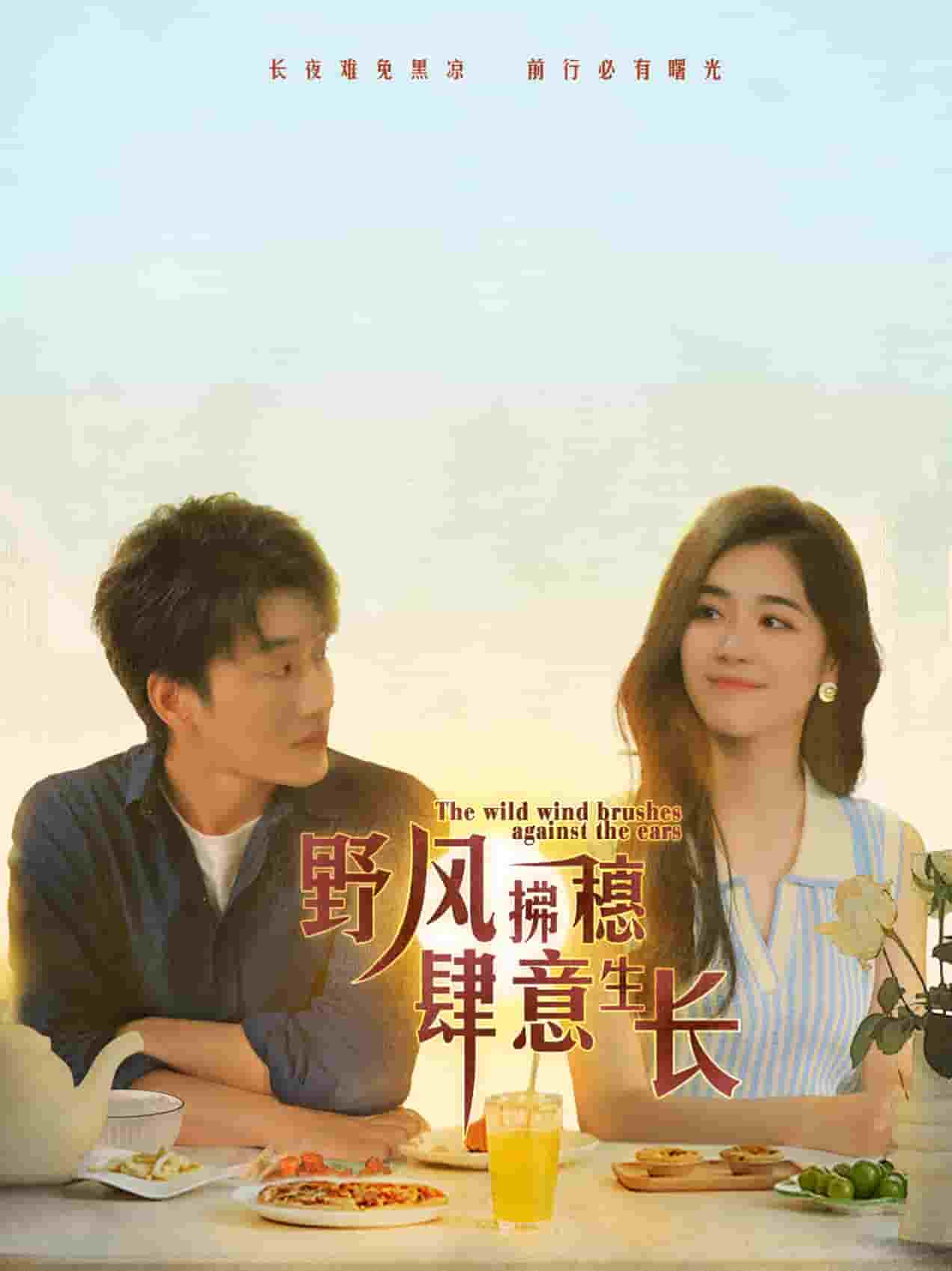 野风拂穗肆意生长全集