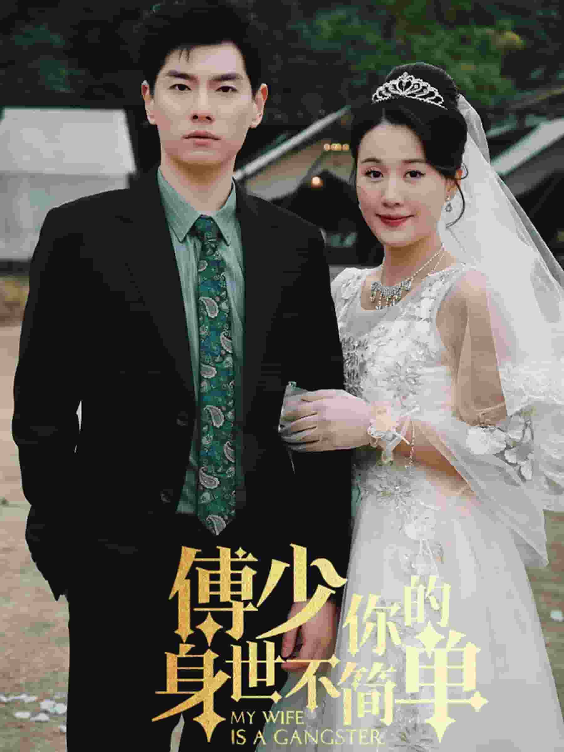 傅少你的身世不简单全集