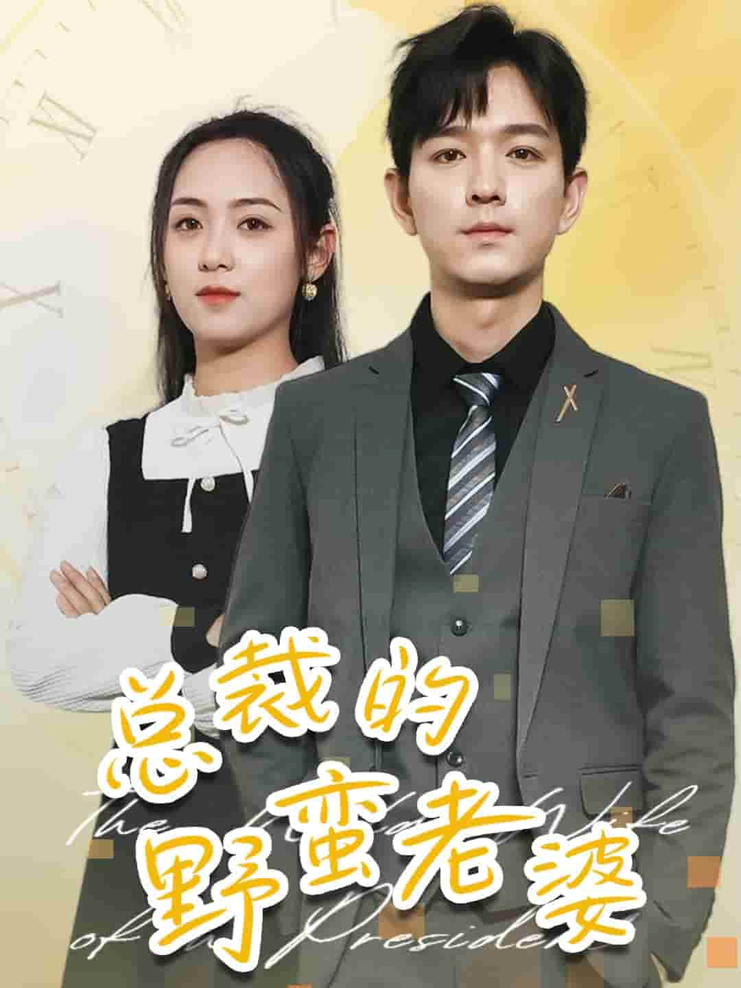 总裁的野蛮老婆全集