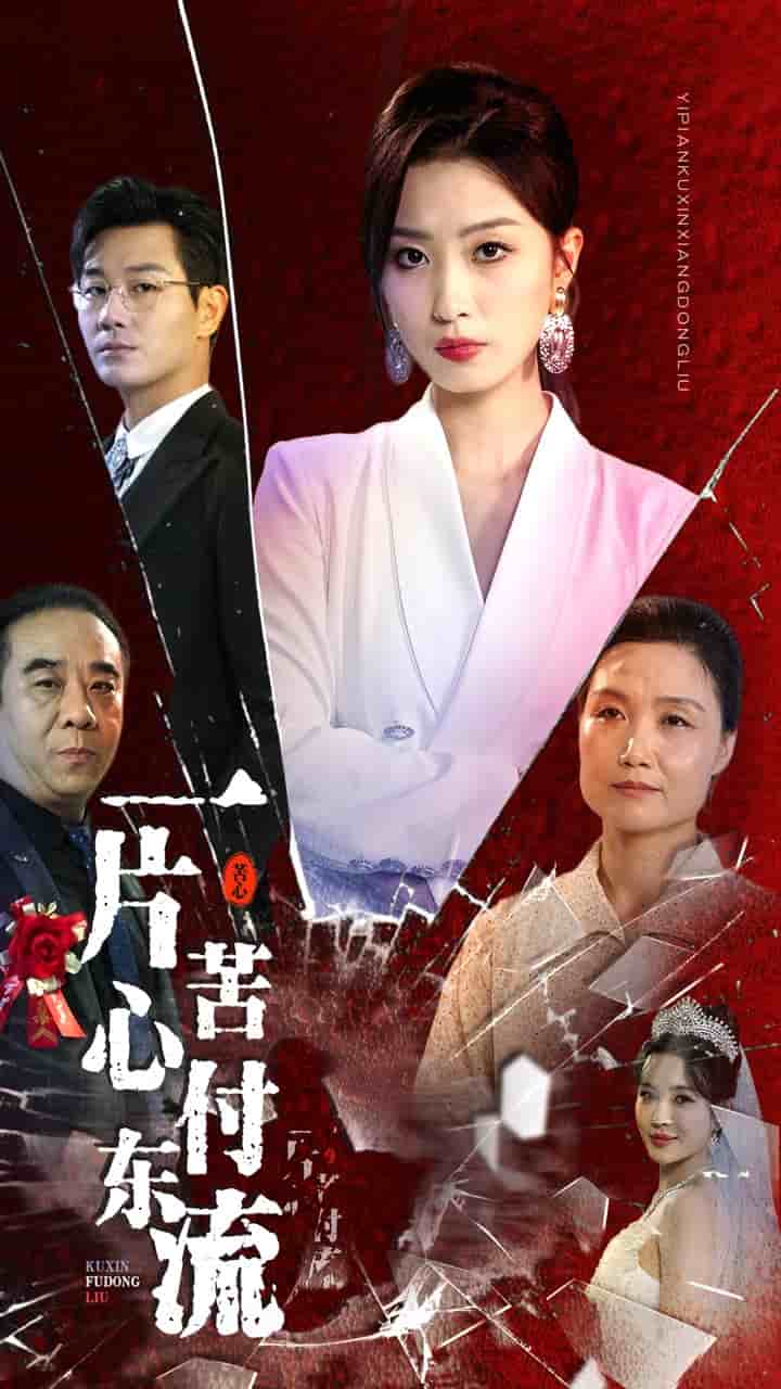 一片苦心付东流全集