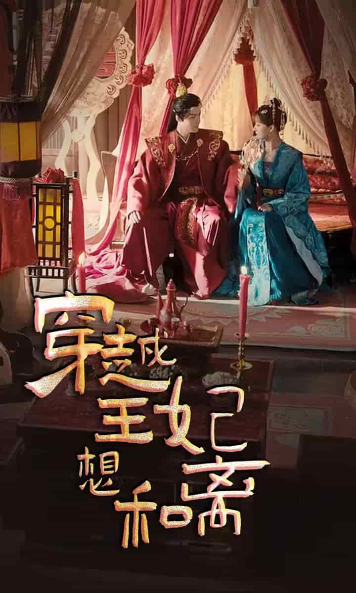 穿越王妃想和离全集