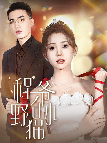 程爷的小野猫全集