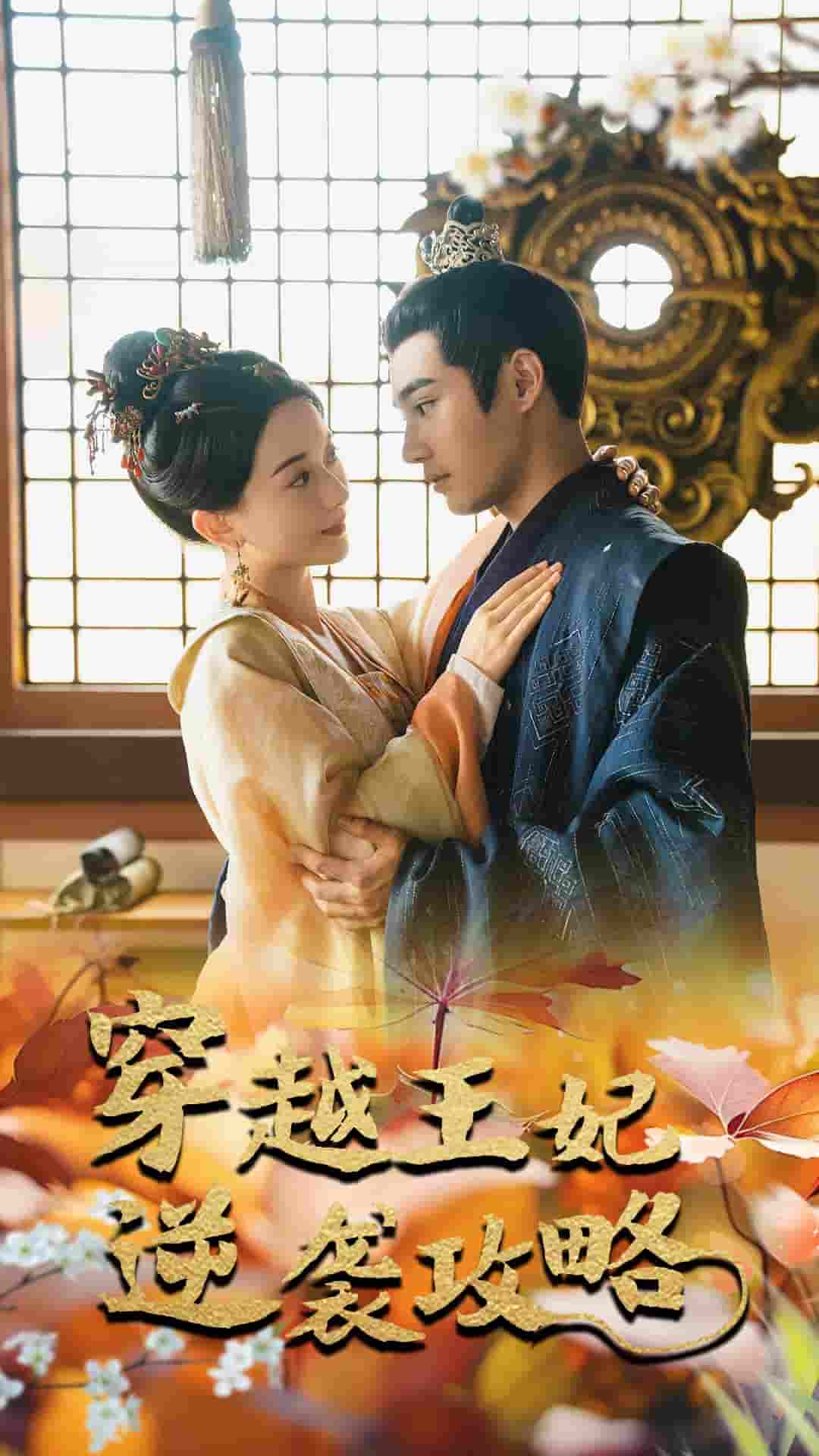 穿越王妃逆袭攻略全集