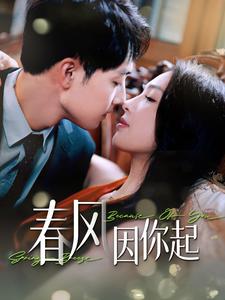 春风因你起全集