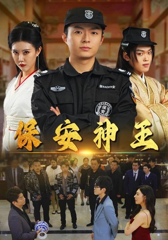 保安神王全集