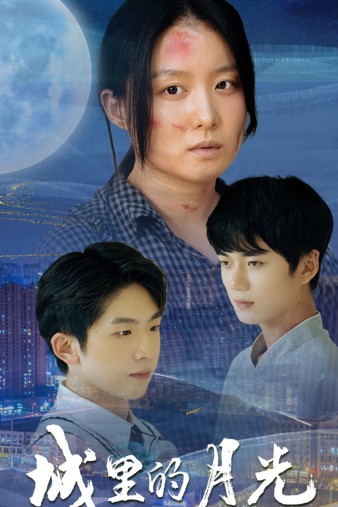城里的月光全集