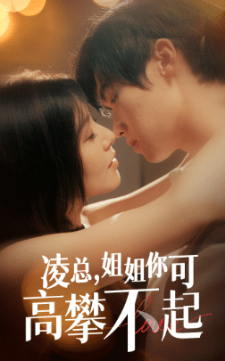 凌总姐姐你可高攀不起全集