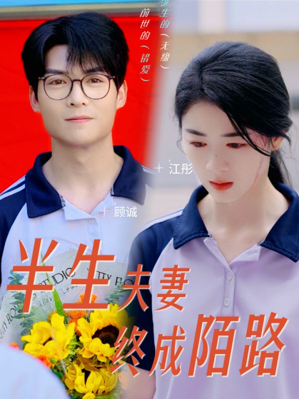 半生夫妻终成陌路全集