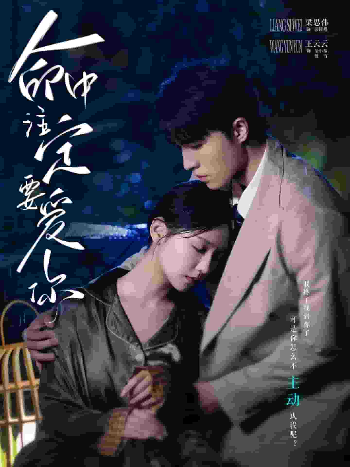 命中注定要爱你全集