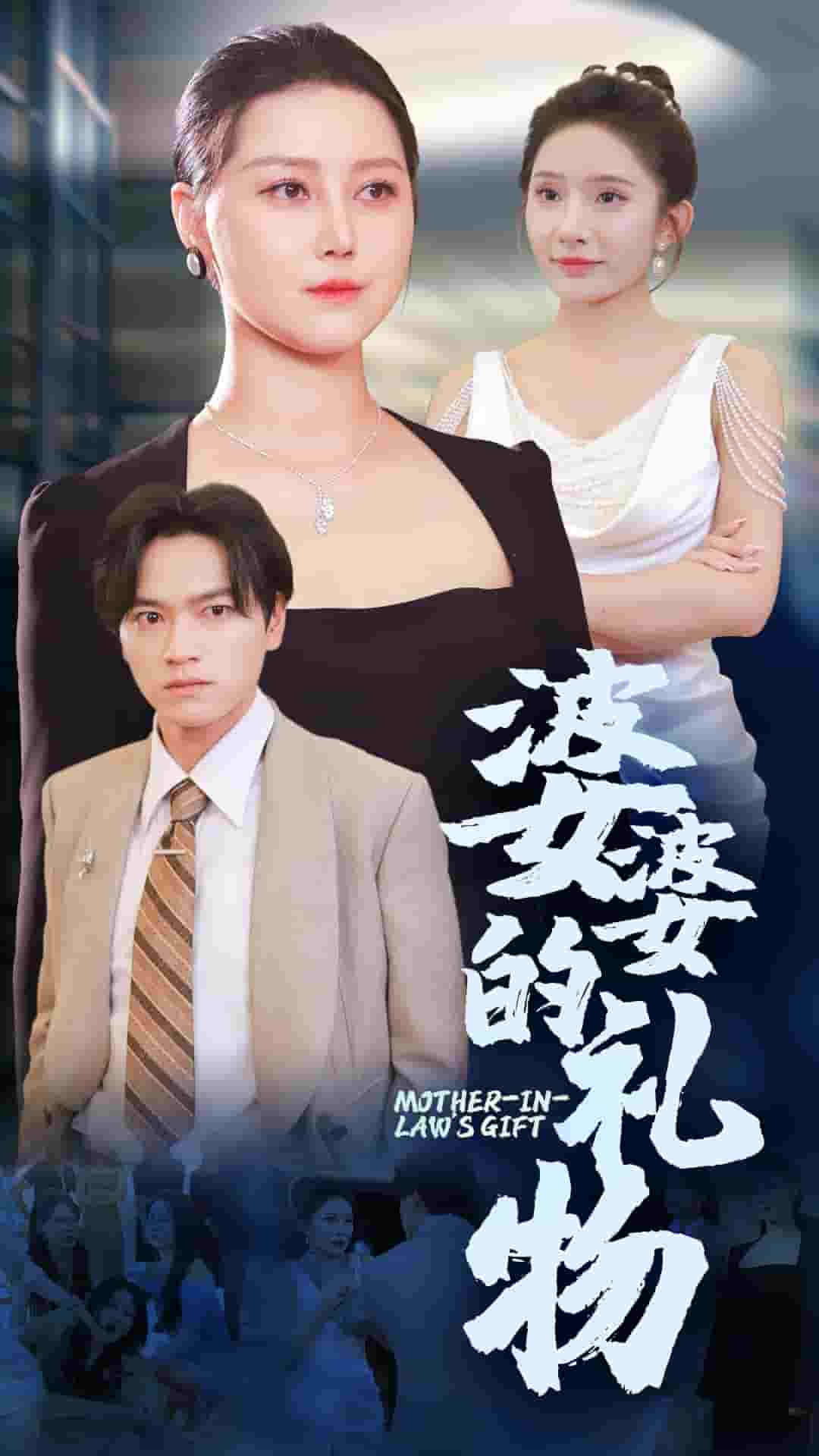 婆婆的礼物全集