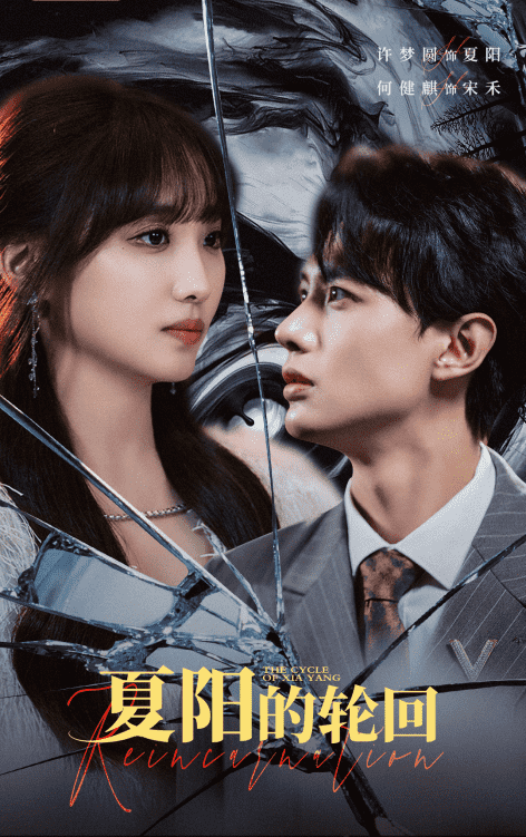 夏阳的轮回全集