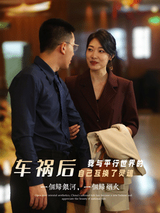 车祸后我与平行世界的自己互换了灵魂全集