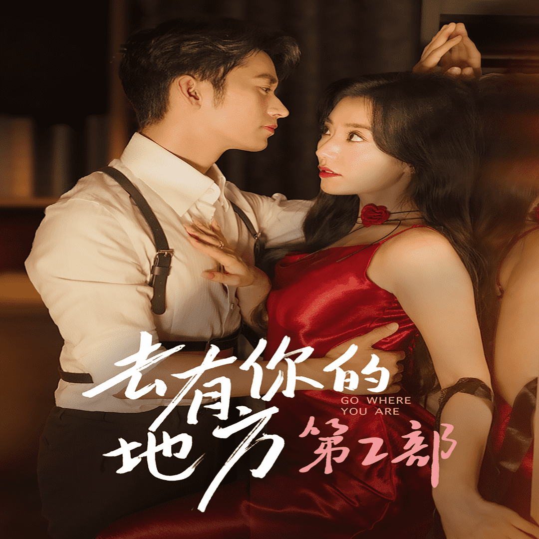 去有你的地方第2部全集