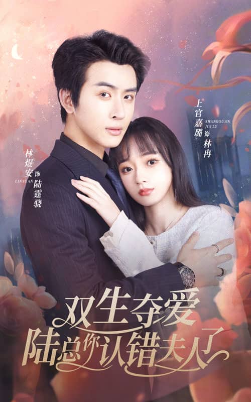 双生夺爱陆总你认错夫人了全集