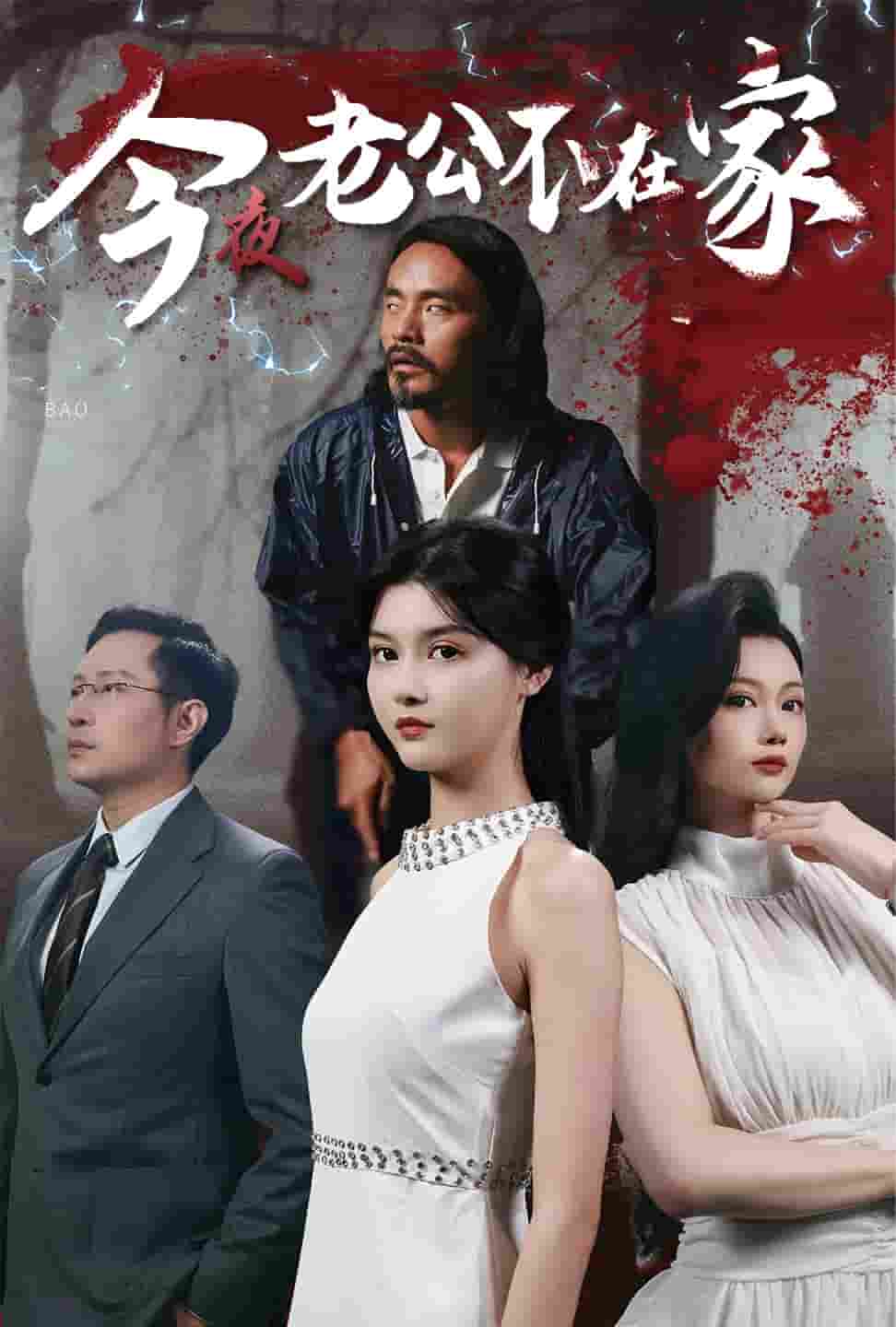 今夜老公不在家全集