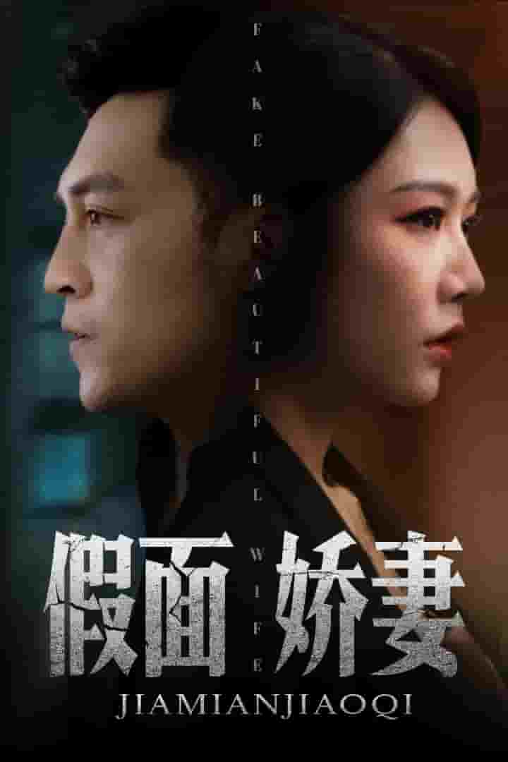 娇妻的谎言全集