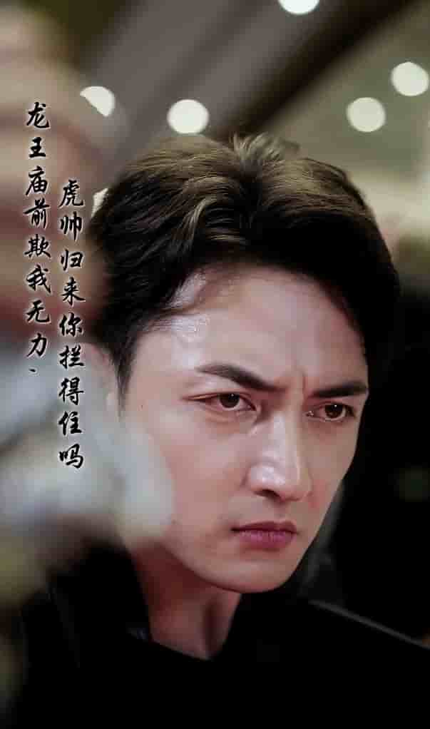 龙王庙前欺我无力，虎帅归来你拦得住吗全集