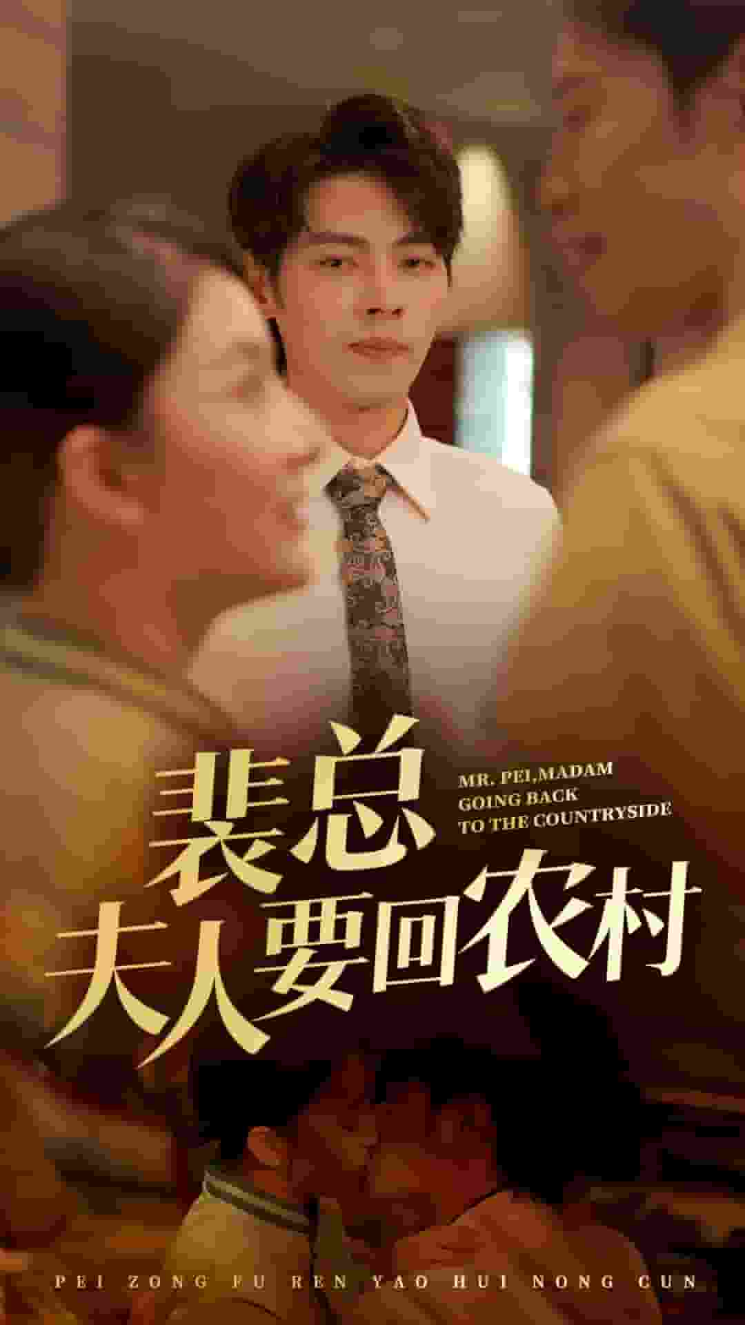 裴总夫人要回农村全集