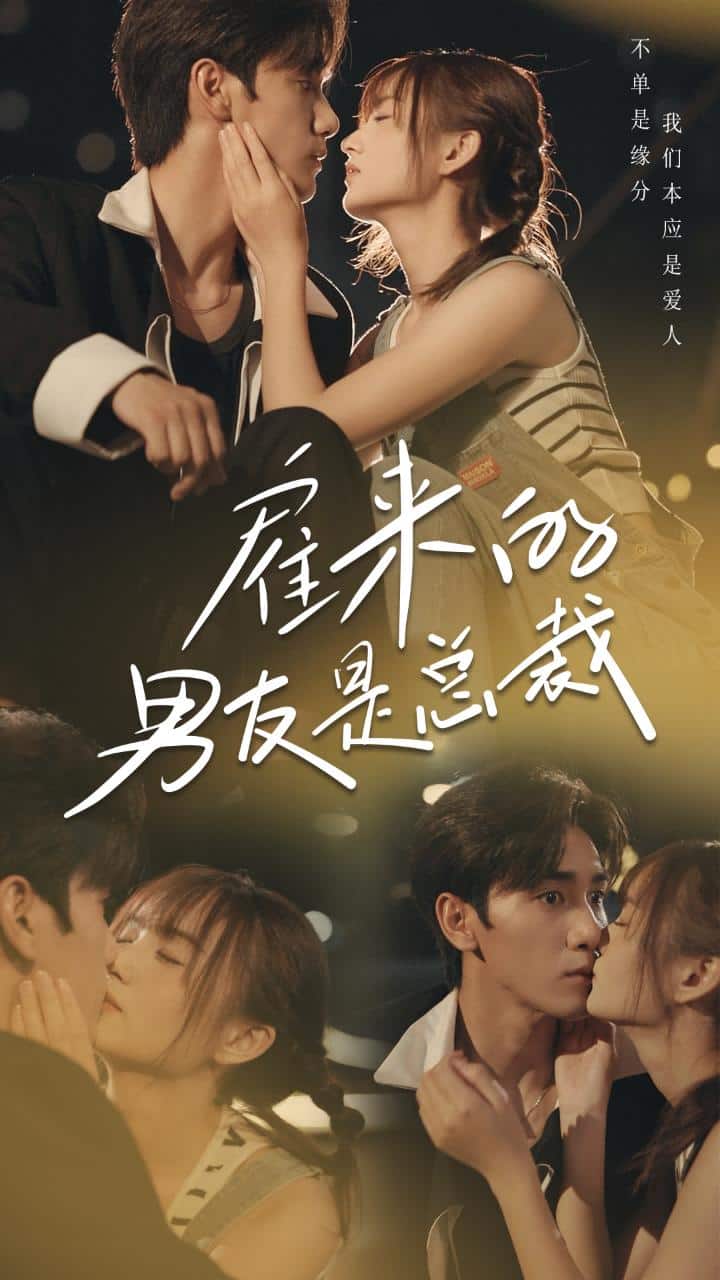 雇来的男友是总裁全集