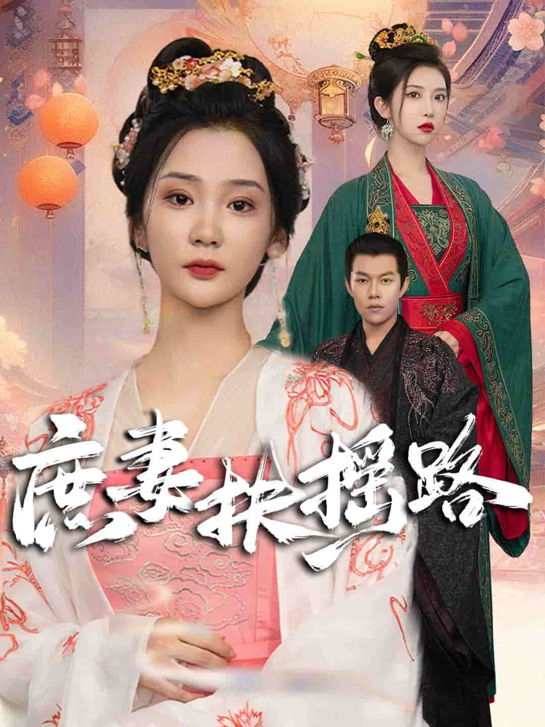 庶妻扶摇路全集