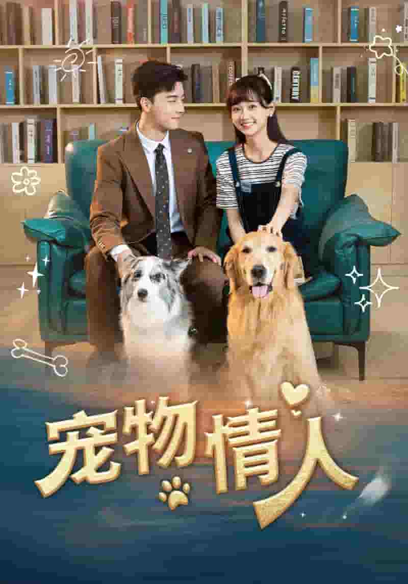 宠物情人短剧版全集