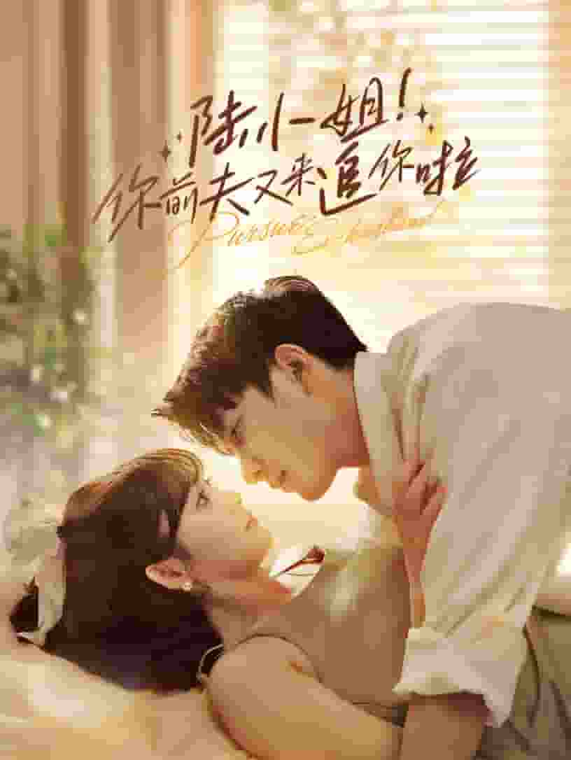 陆小姐！你前夫又来追你啦全集