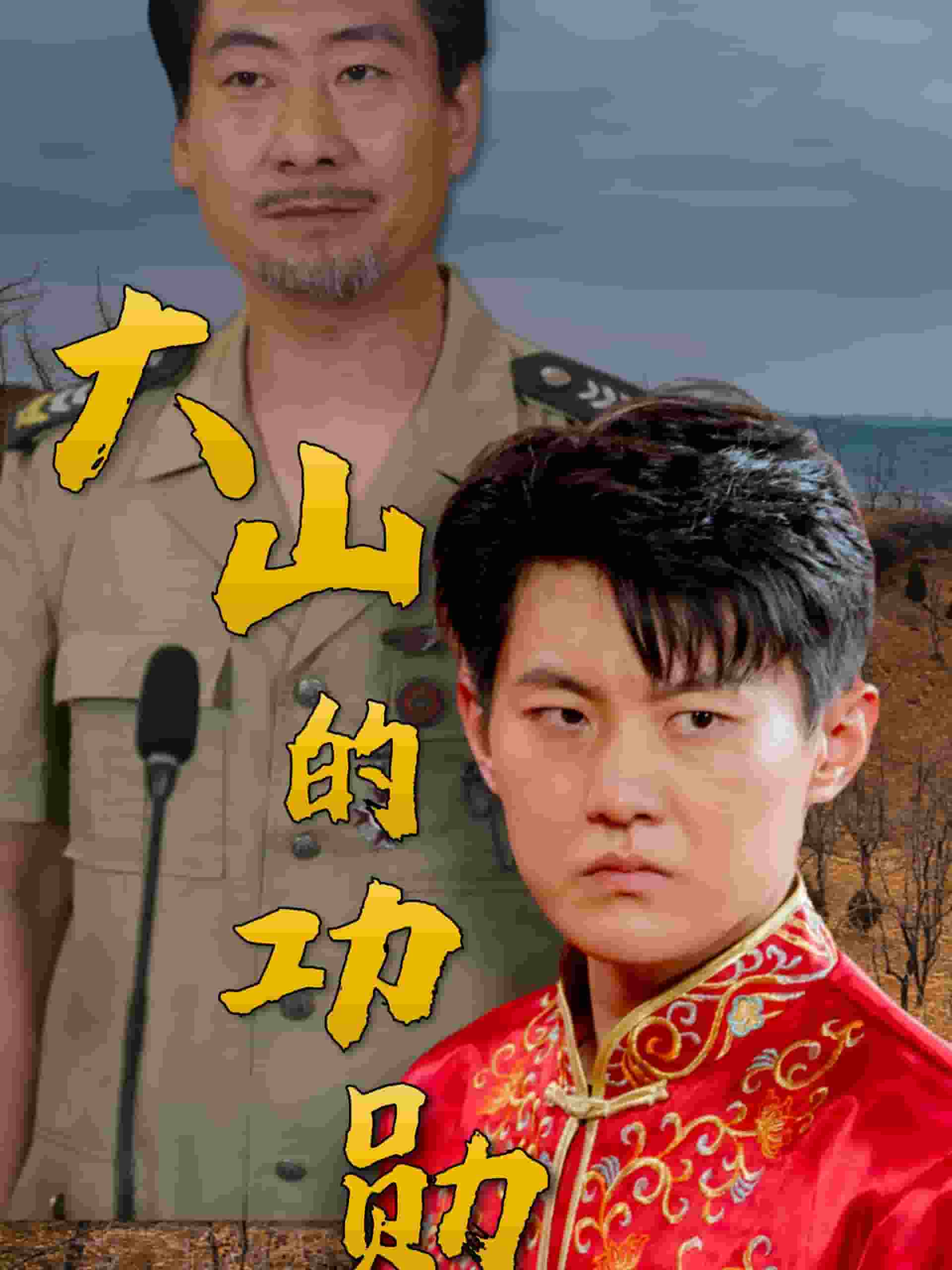 大山的功勋全集