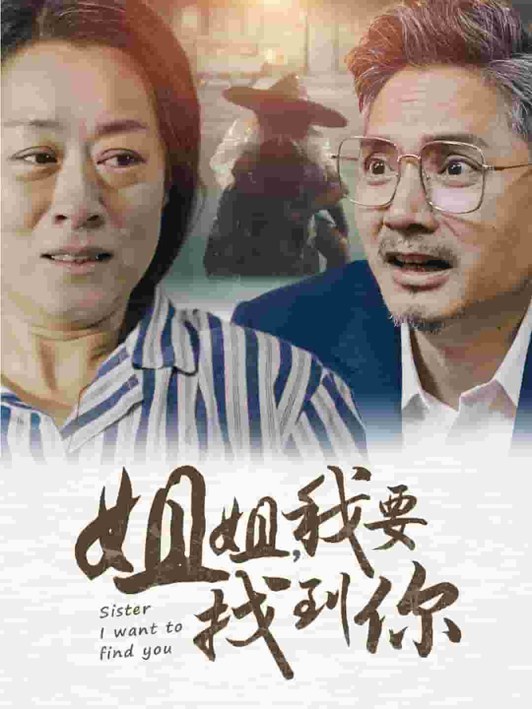 姐姐我要找到你全集